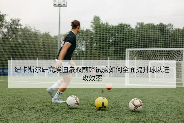 纽卡斯尔研究埃迪豪双前锋试验如何全面提升球队进攻效率 | kaiyun